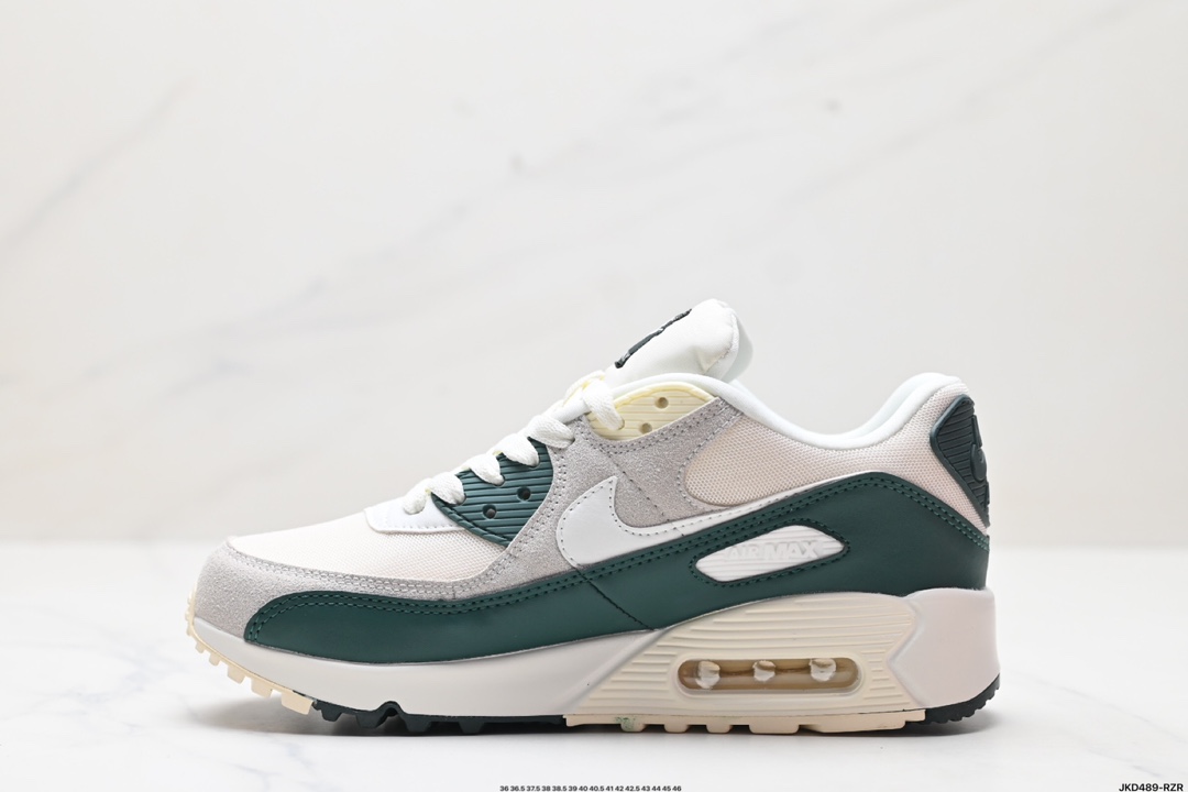 Nike Air Max Shoes